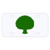 Personalized 3 X 6 Heavy Duty Acrylic / Plastic License Plate Thumbnail