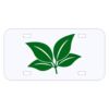 Personalized 3 X 6 Heavy Duty Acrylic / Plastic License Plate Thumbnail
