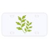 Personalized 3 X 6 Heavy Duty Acrylic / Plastic License Plate Thumbnail