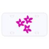 Personalized 3 X 6 Heavy Duty Acrylic / Plastic License Plate Thumbnail