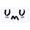 Personalized 3 X 6 Heavy Duty Acrylic / Plastic License Plate Thumbnail