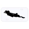 Personalized 3 X 6 Heavy Duty Acrylic / Plastic License Plate Thumbnail