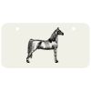 3 X 6 Aluminum License Plate Thumbnail