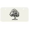 3 X 6 Aluminum License Plate Thumbnail