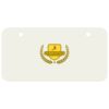3 X 6 Aluminum License Plate Thumbnail