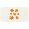 3 X 6 Aluminum License Plate Thumbnail