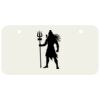 3 X 6 Aluminum License Plate Thumbnail