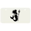 3 X 6 Aluminum License Plate Thumbnail