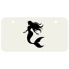 3 X 6 Aluminum License Plate Thumbnail
