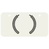 3 X 6 Aluminum License Plate Thumbnail