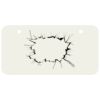 3 X 6 Aluminum License Plate Thumbnail