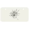 3 X 6 Aluminum License Plate Thumbnail